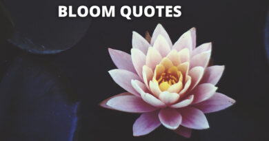 Bloom Quotes featured