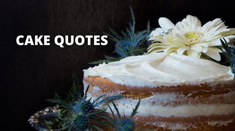 CAKE QUOTES FEATURE