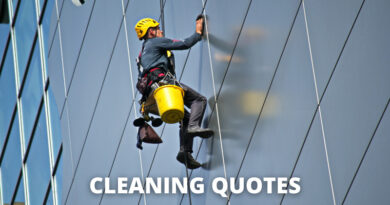 CLEANING QUOTES FEATURE