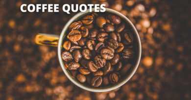 COFFEE QUOTES FEATURED