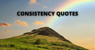 CONSISTENCY QUOTES FEATURES