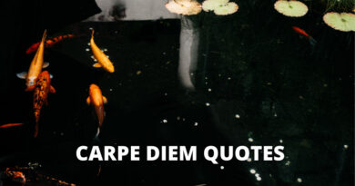 Carpe diem Quotes featured