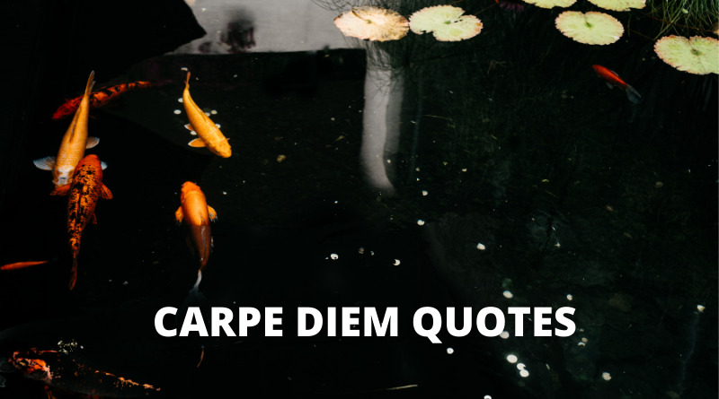 Carpe diem Quotes featured