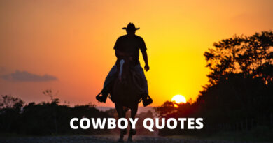 Cowboy Quotes Featured