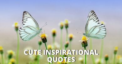 Cute Inspirational Quotes Featured