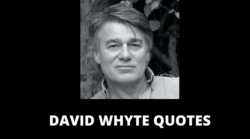 DAVID WHYTE QUOTES FEATURED