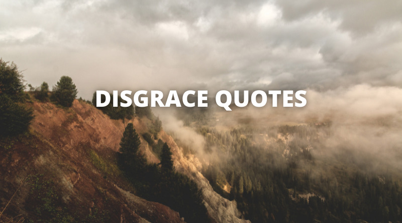 Disgrace Quotes Featured