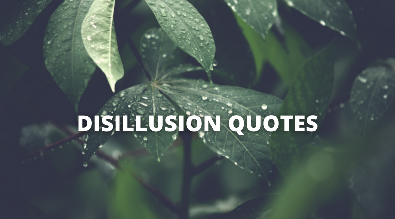 Disillusion quotes featured.png