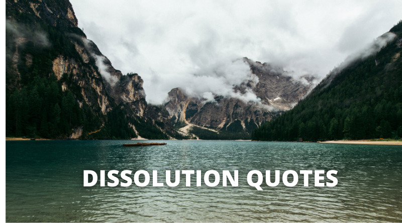 Dissolution quotes featured.png