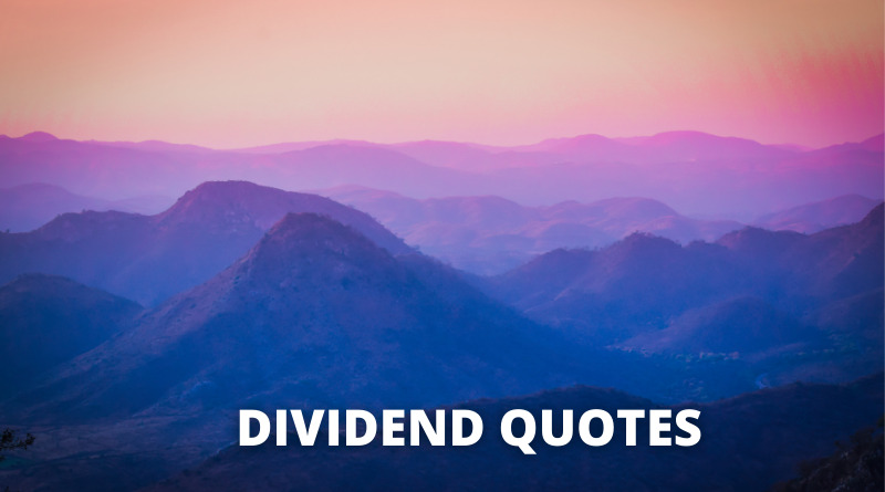 Dividend quotes featured.png