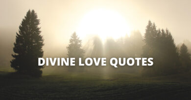 Divine Love quotes featured