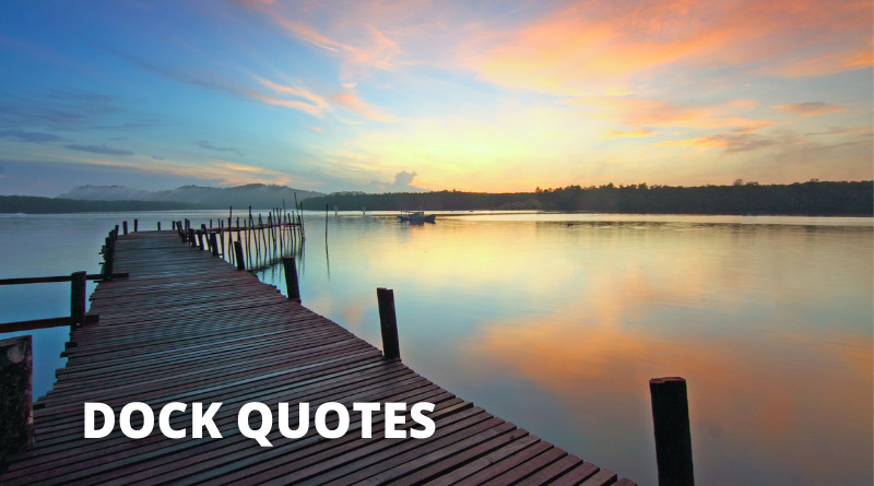 Dock quotes featured.png
