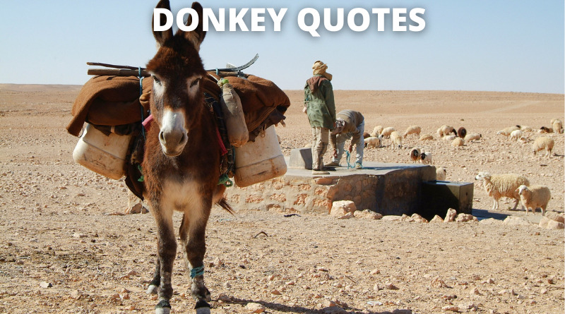 Donkey Quotes featured.png