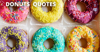 Donuts Quotes featured.png
