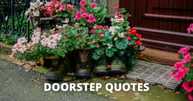 Doorstep Quotes Featured