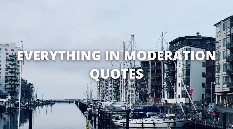 EVERYTHING IN MODERATION QUOTES featured