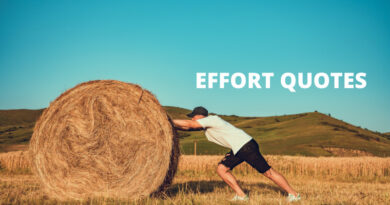 Effort quotes featured
