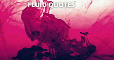 FLUID QUOTES FEATURED