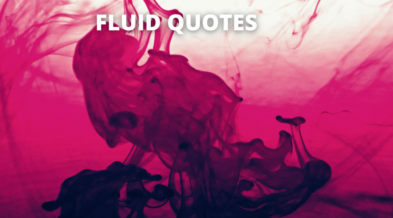 FLUID QUOTES FEATURED