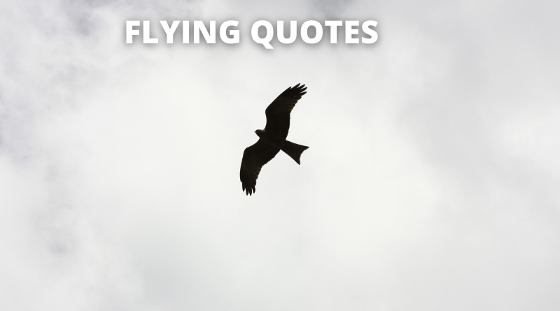FLYING QUOTES FEATURED