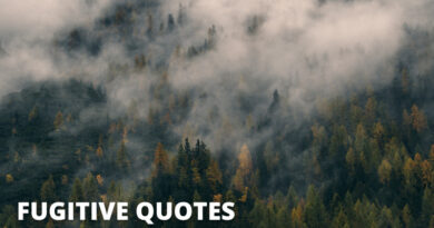 FUGITIVE QUOTES FEATURED