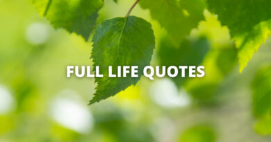 FULL LIFE QUOTES featured