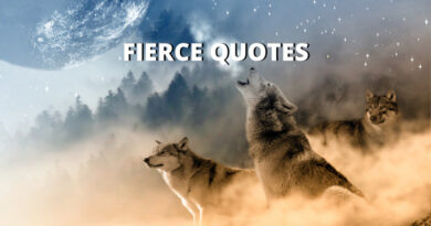 Fierce Quotes Featured