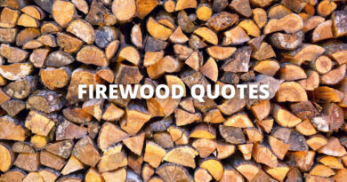 Firewood quotes featured
