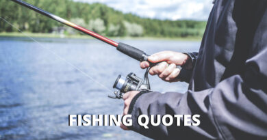 Fishing Quotes Featured