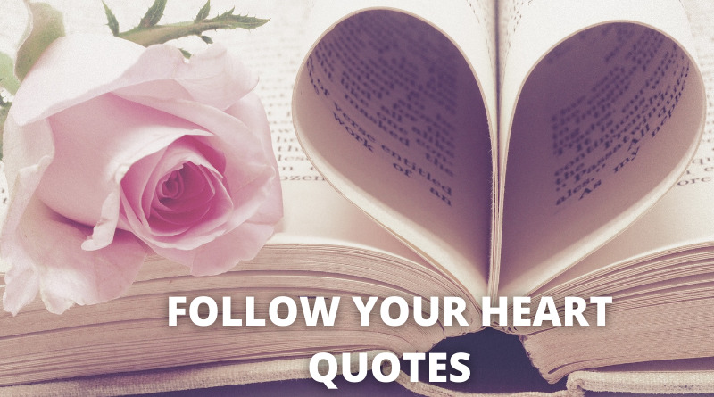Follow your Heart Quotes featured