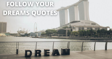 Follow your dreams Quotes featured