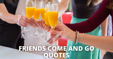 Friends Come and Go Quotes Featured