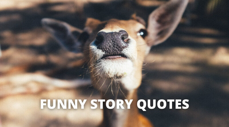 Best Funny Story Quotes On Success In Life – OverallMotivation