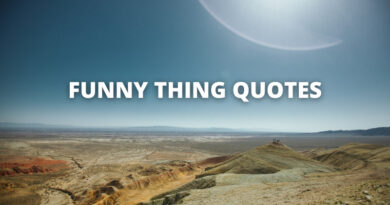 Funny Thing quotes featured