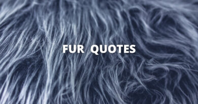 Fur quotes featured