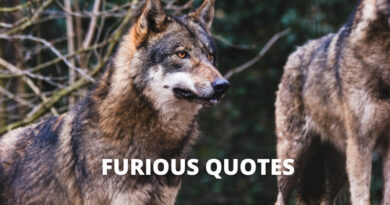 Furious quotes featured