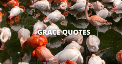 Grace Quotes Featured
