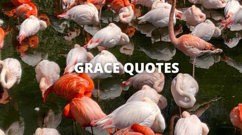Grace Quotes Featured