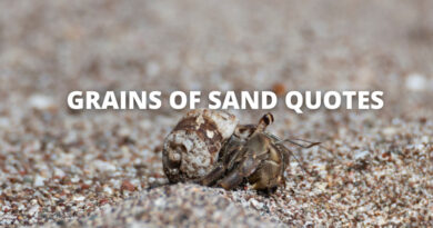 Grains of Sand Quotes Featured