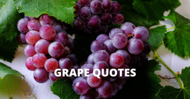 Grape quotes featured