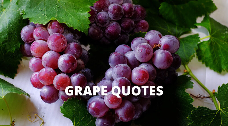 Grape quotes featured
