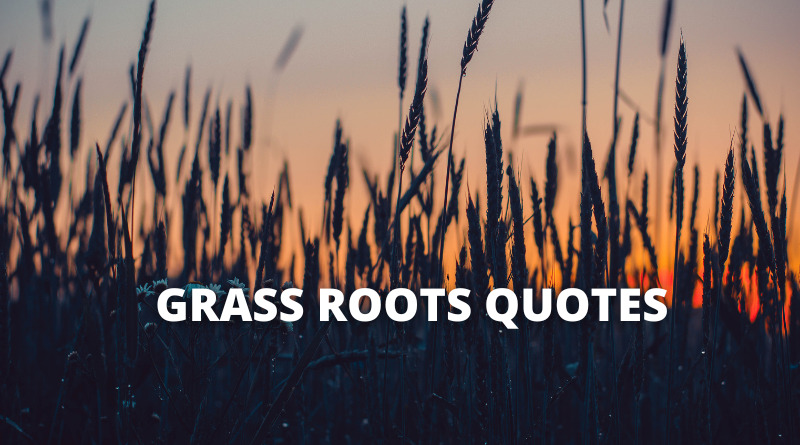 Grass Roots quotes featured1