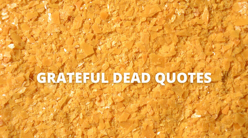 Grateful Dead quotes featured