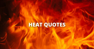 HEAT QUOTES featured