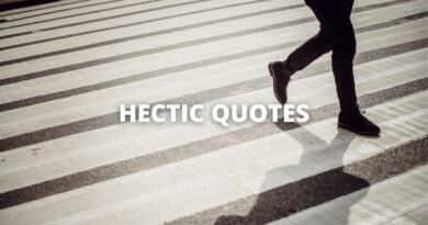 HECTIC QUOTES featured
