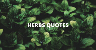 HERB QUOTES featured