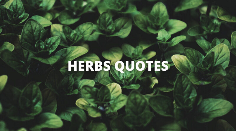 HERB QUOTES featured
