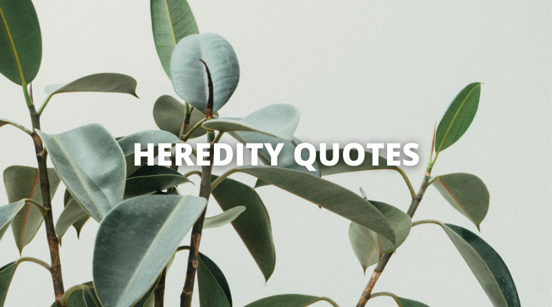 HEREDITY QUOTES featured