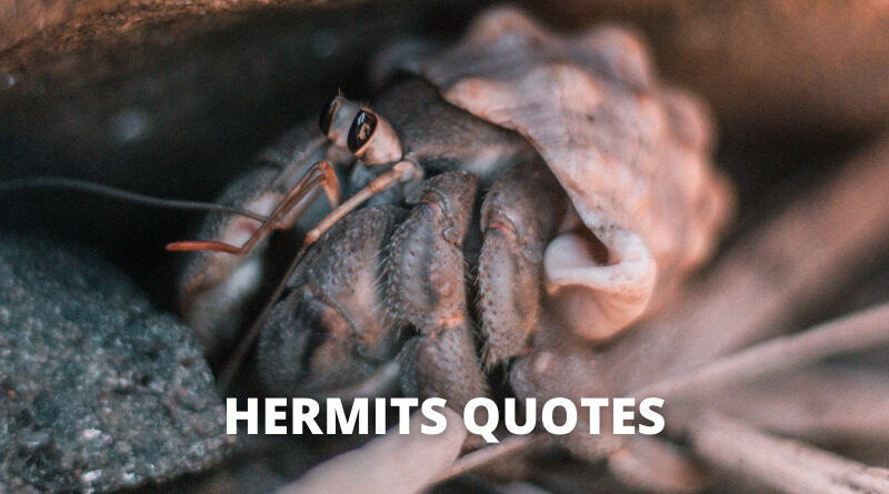 HERMIT QUOTES featured