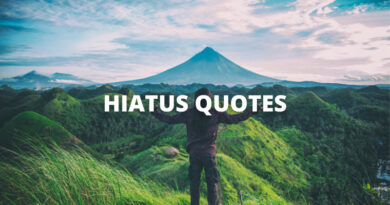 HIATUS QUOTES featured